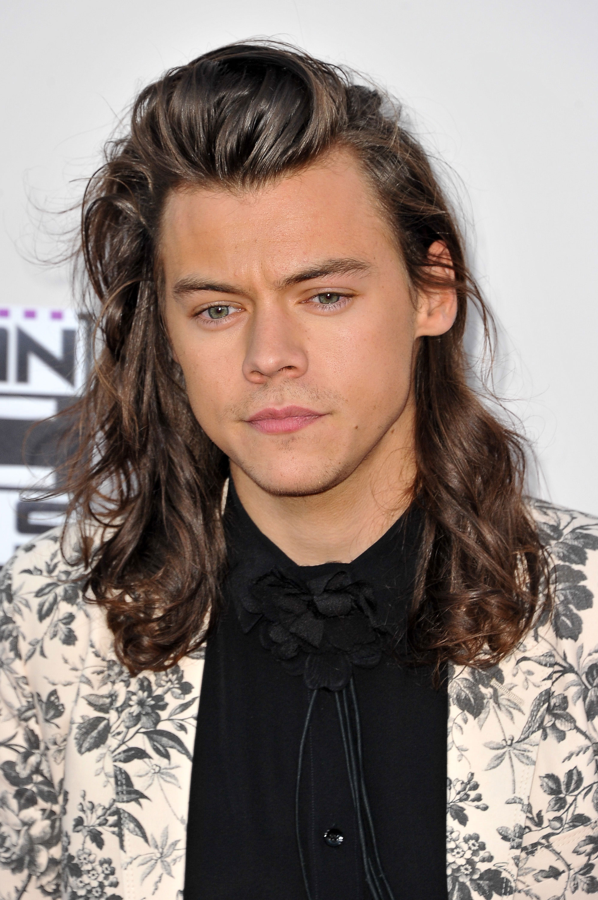 Happy Birthday Harry Styles! We celebrate his glorious hair evolution