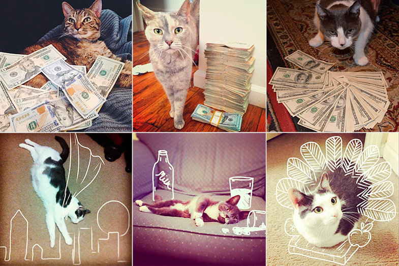 Los gatos son los reyes de Instagram, es así. Gatos ricos en @cashcats y decorados en @idraw_on_cats.
