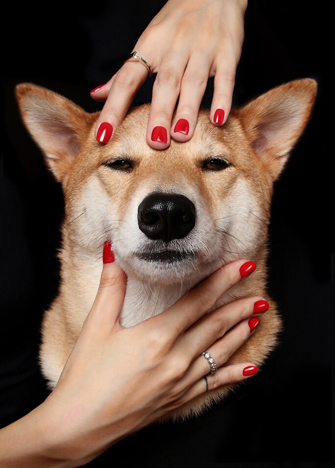 Una de las imágenes de Bodhi para Revlon. © Menswear Dog
