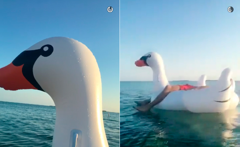 Siesta horizontal sobre cisne, podríamos llamar al vídeo de Snapchat grabado por Taylor. © Snapchat de Calvin Harris