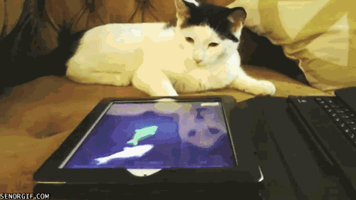 ¡Si hasta tu gato usa tableta!