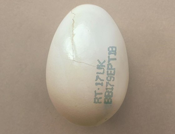Burberry y el huevo en Instagram
