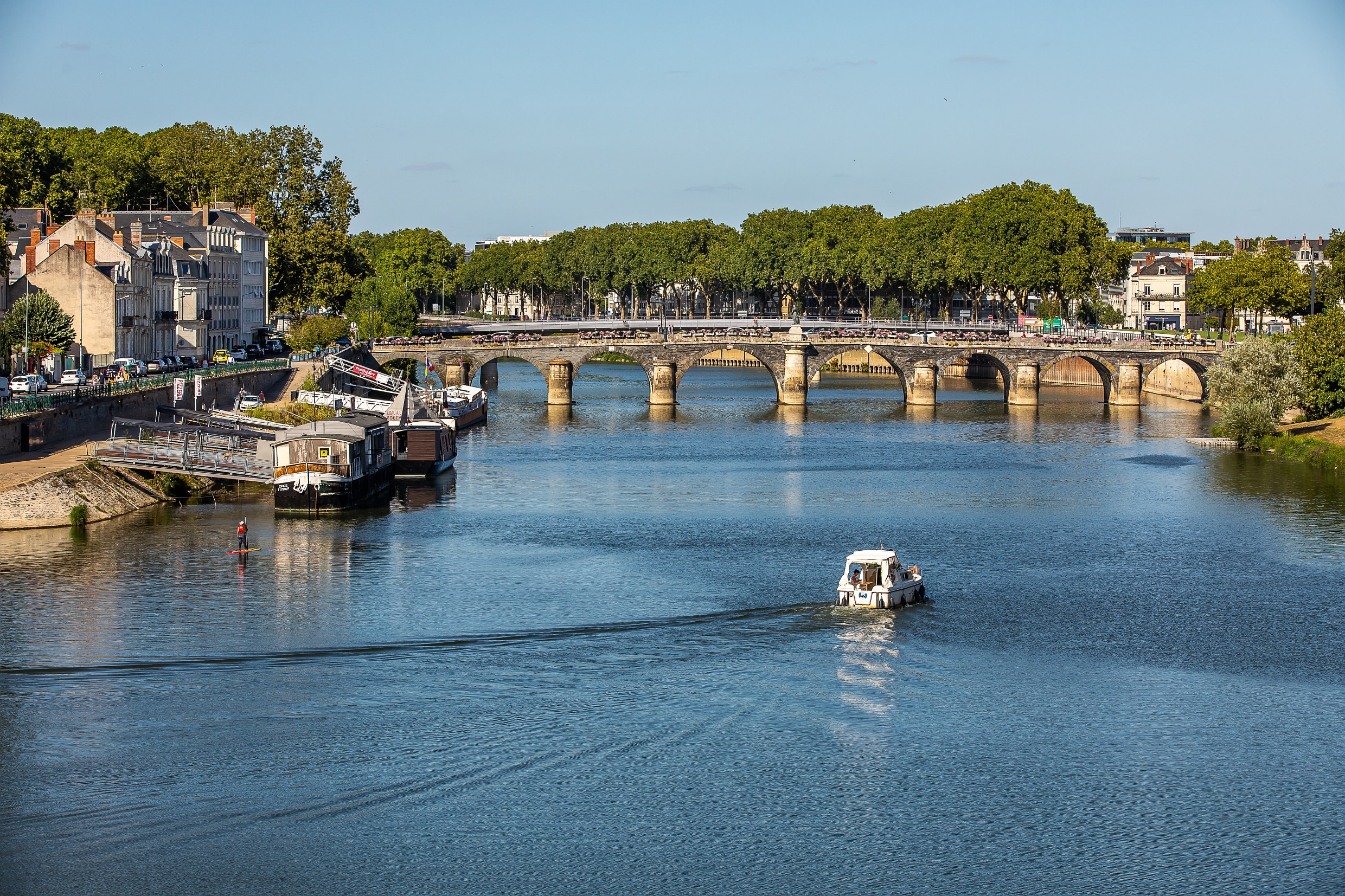 5 actividades para vivir la vendimia en el Loira