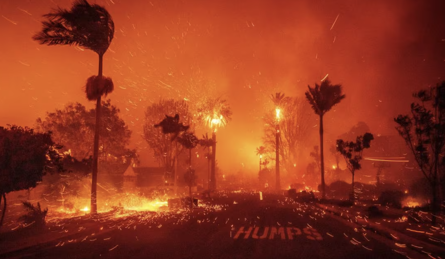 Famosos afectados por incendios: tragedia en Hollywood