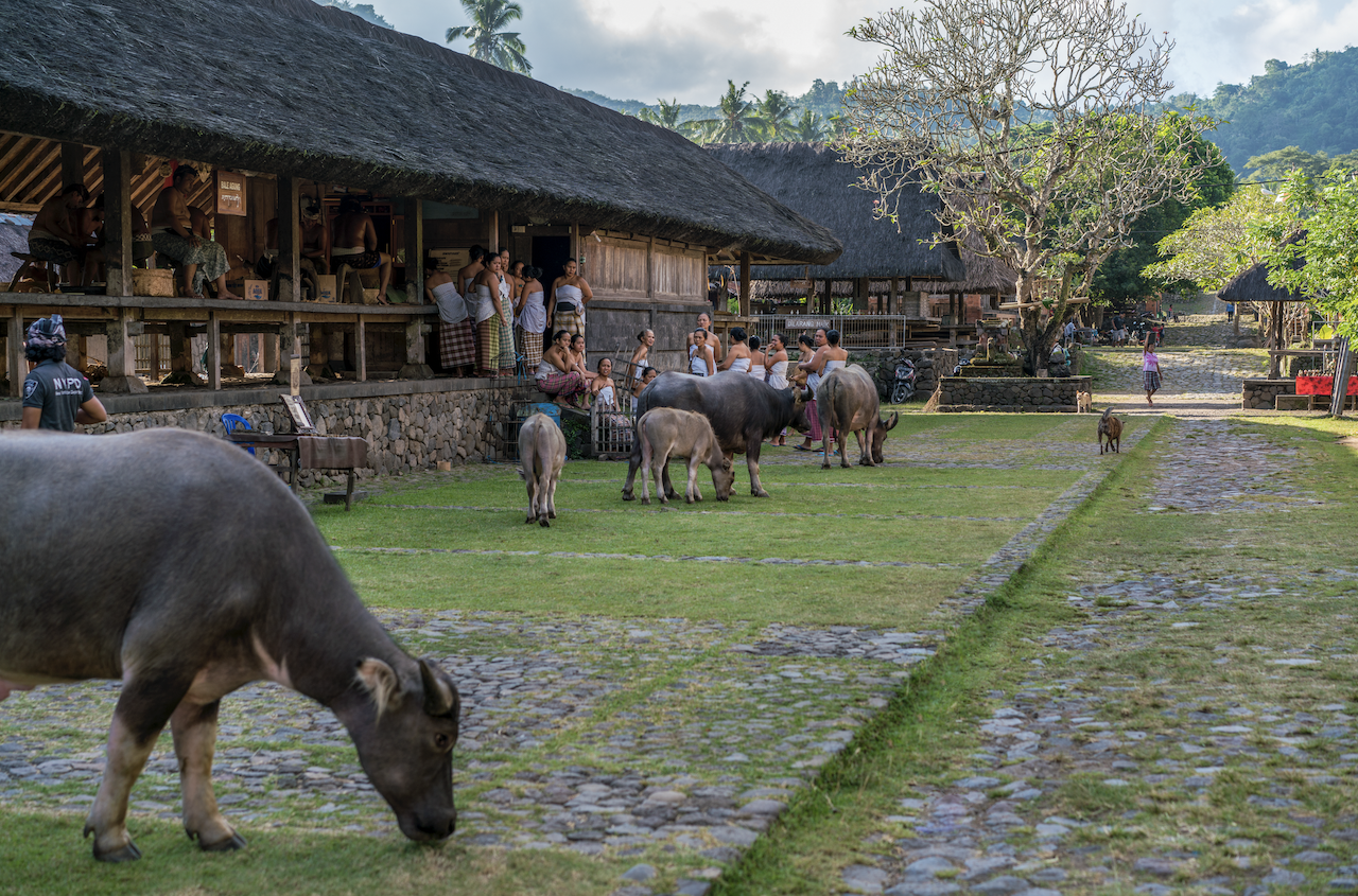 Amankila, el santuario más exclusivo de la auténtica Bali