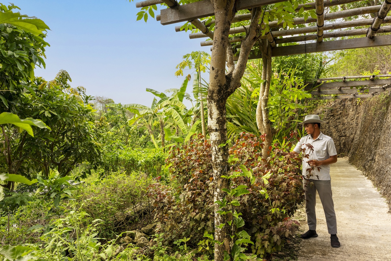 Volver a creer en Bali: un refugio entre el mar y el cielo