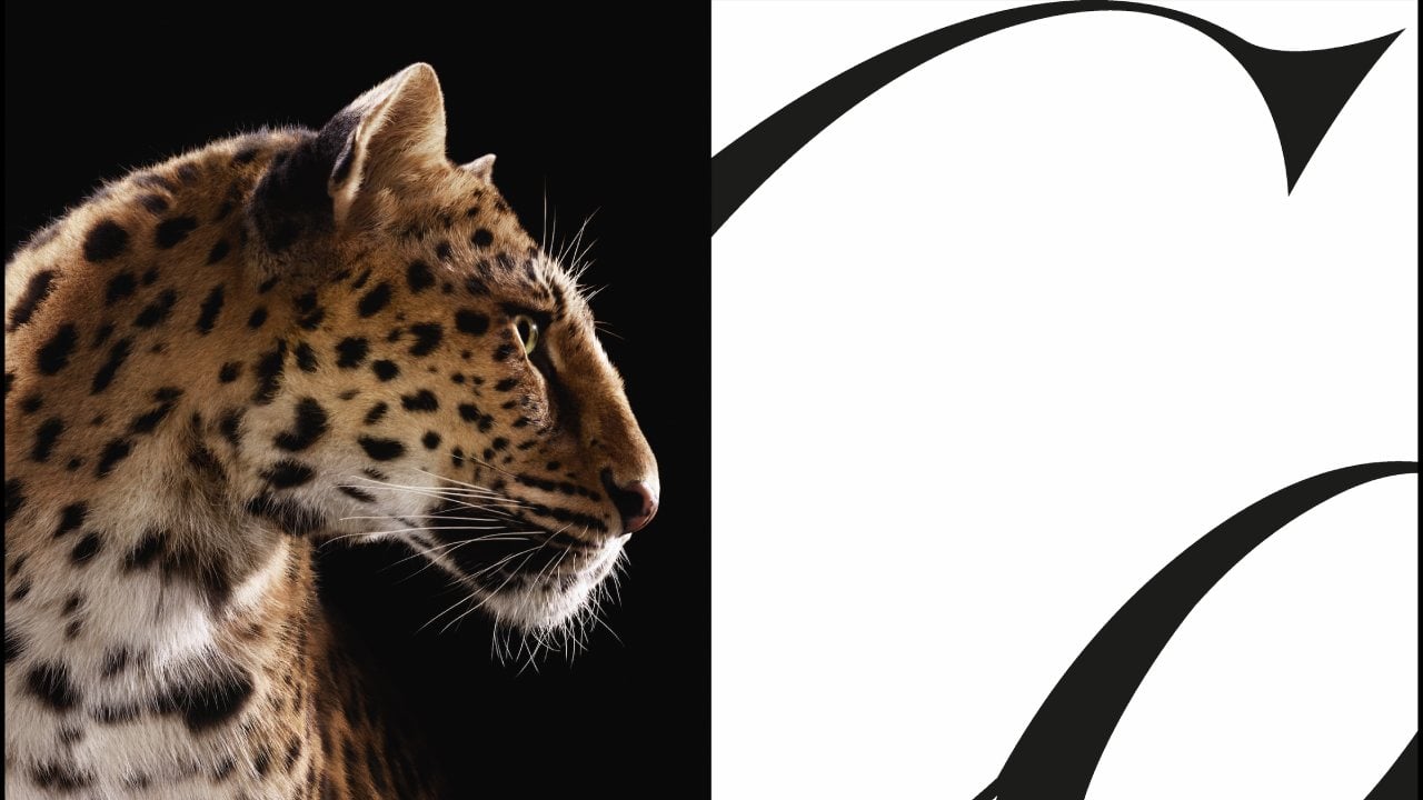 Cartier celebra una nueva campaña protagonizada por la icónica pantera