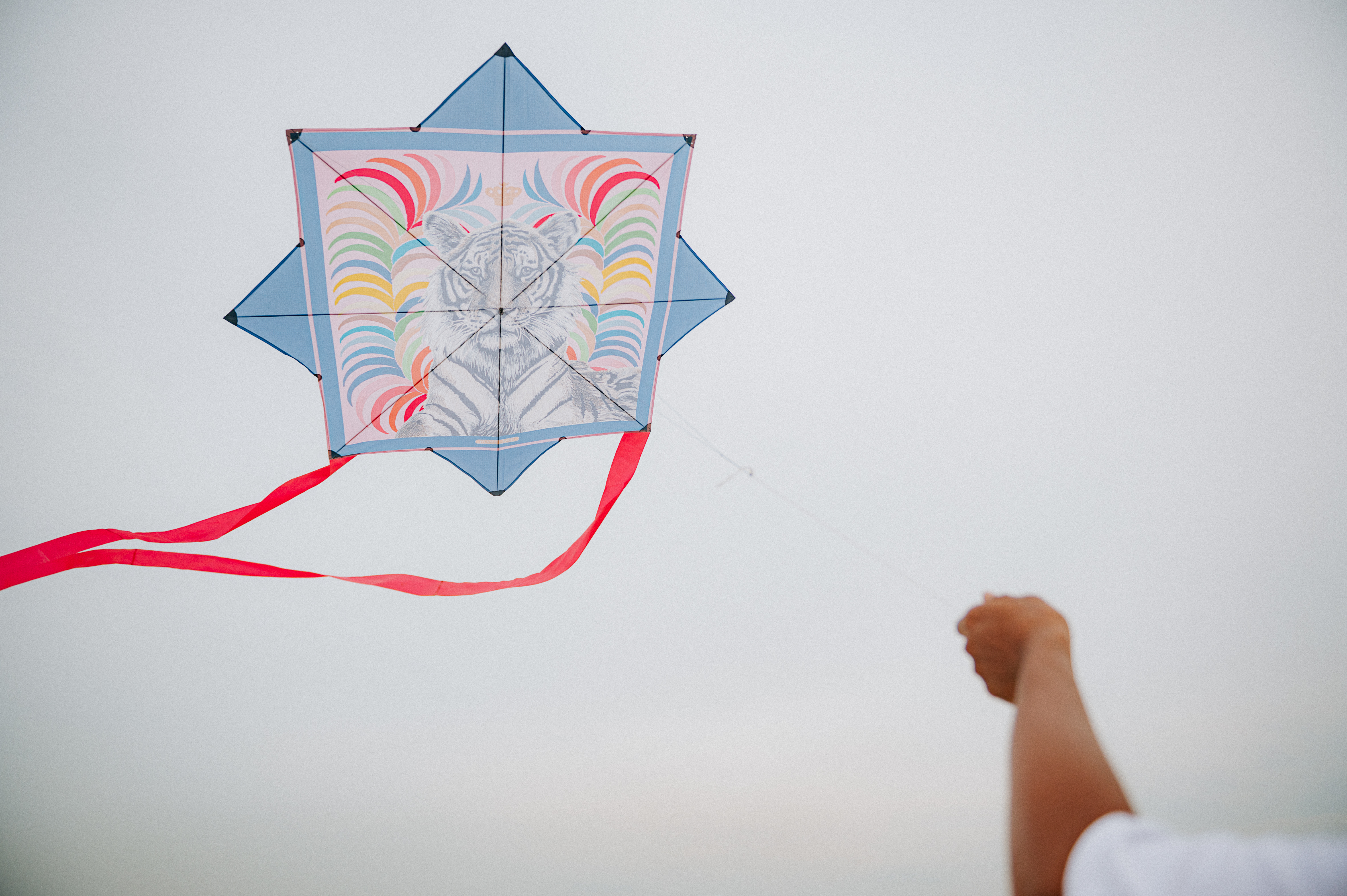 Kite Festival Dubai