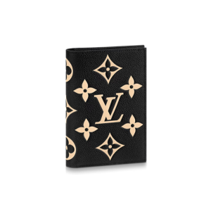 travel Essentials Passport holder 