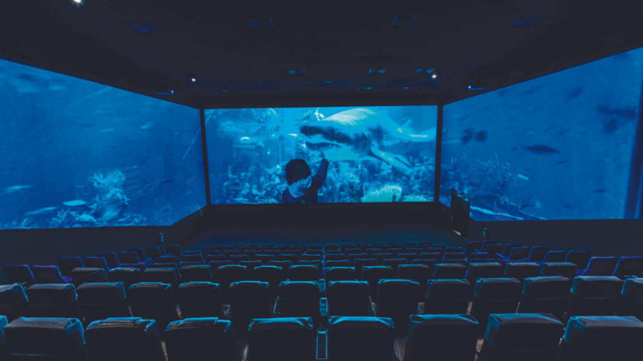 UAE Best Cinemas - ScreenX, Reel Cinemas