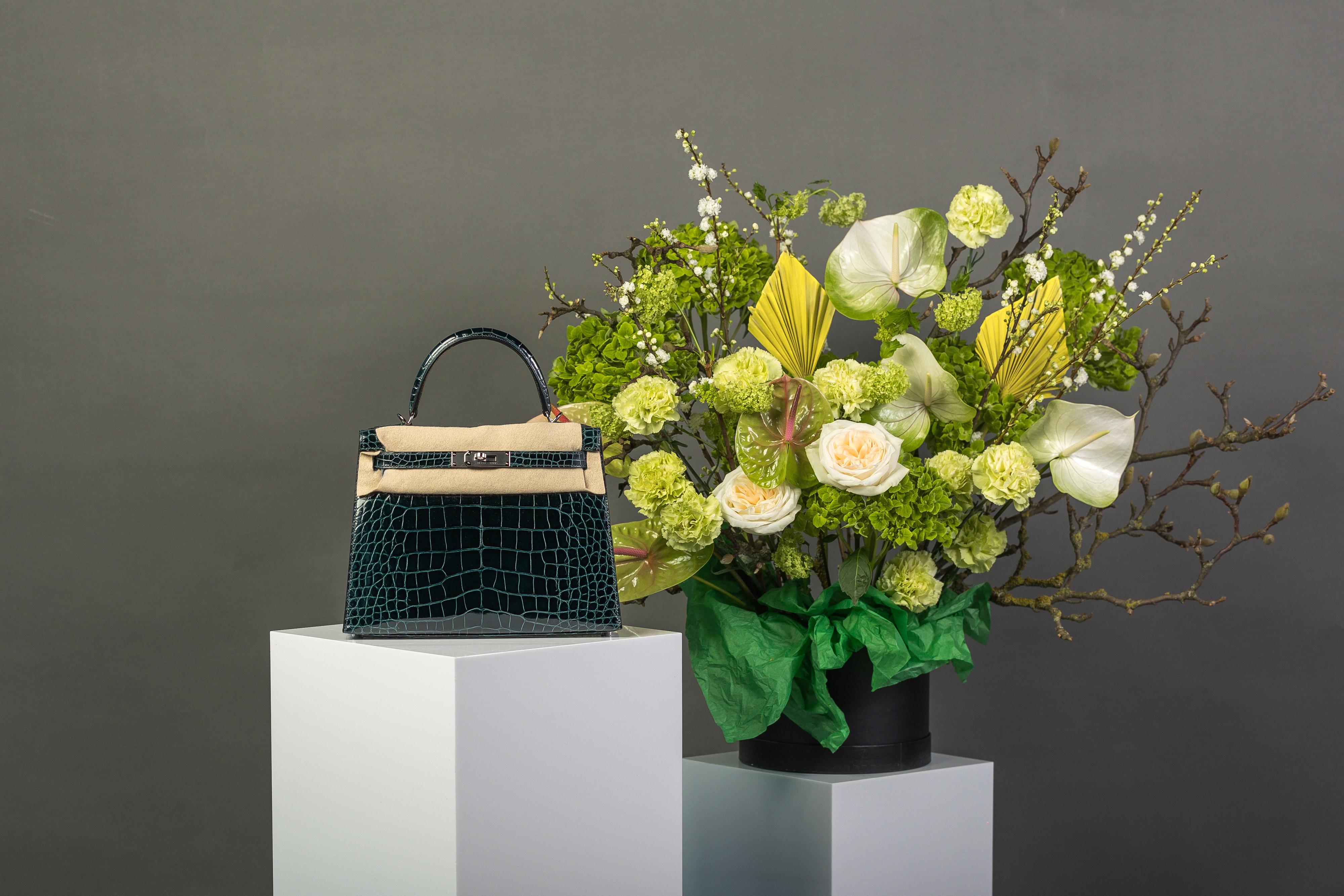 Kelly 28 Alligator, Color Vert Cypress