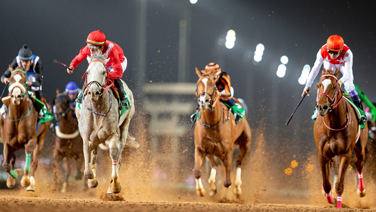 Saudi Cup 2024 What You Need To Know