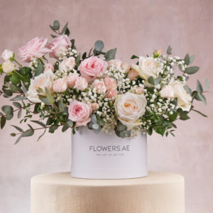 ADELLE HATBOX DHS325