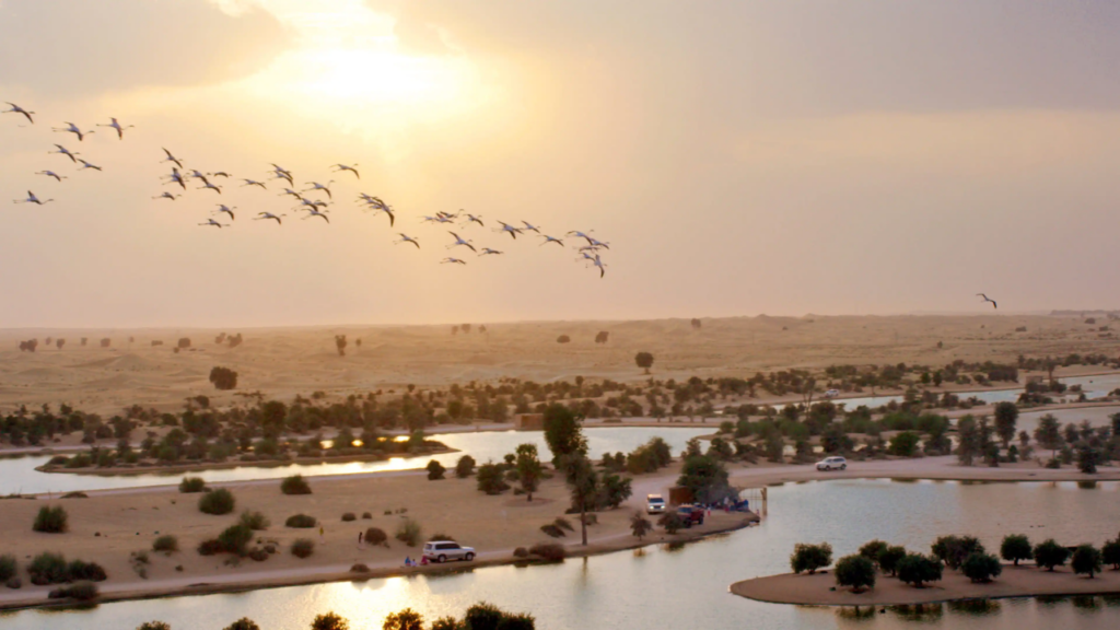 Al Qudra Lakes via Visit Abu Dhabi