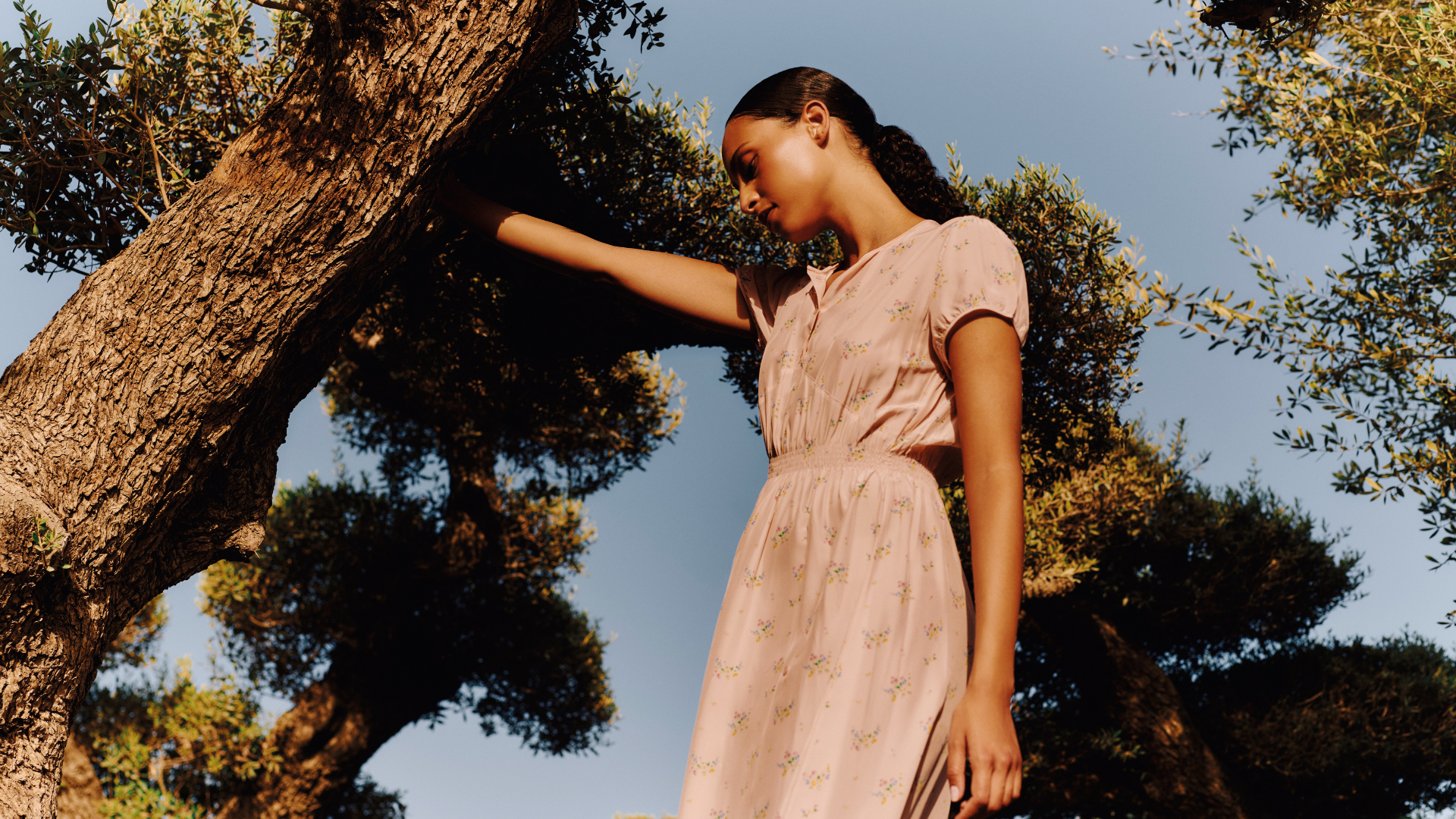 Prada-8-UW.png