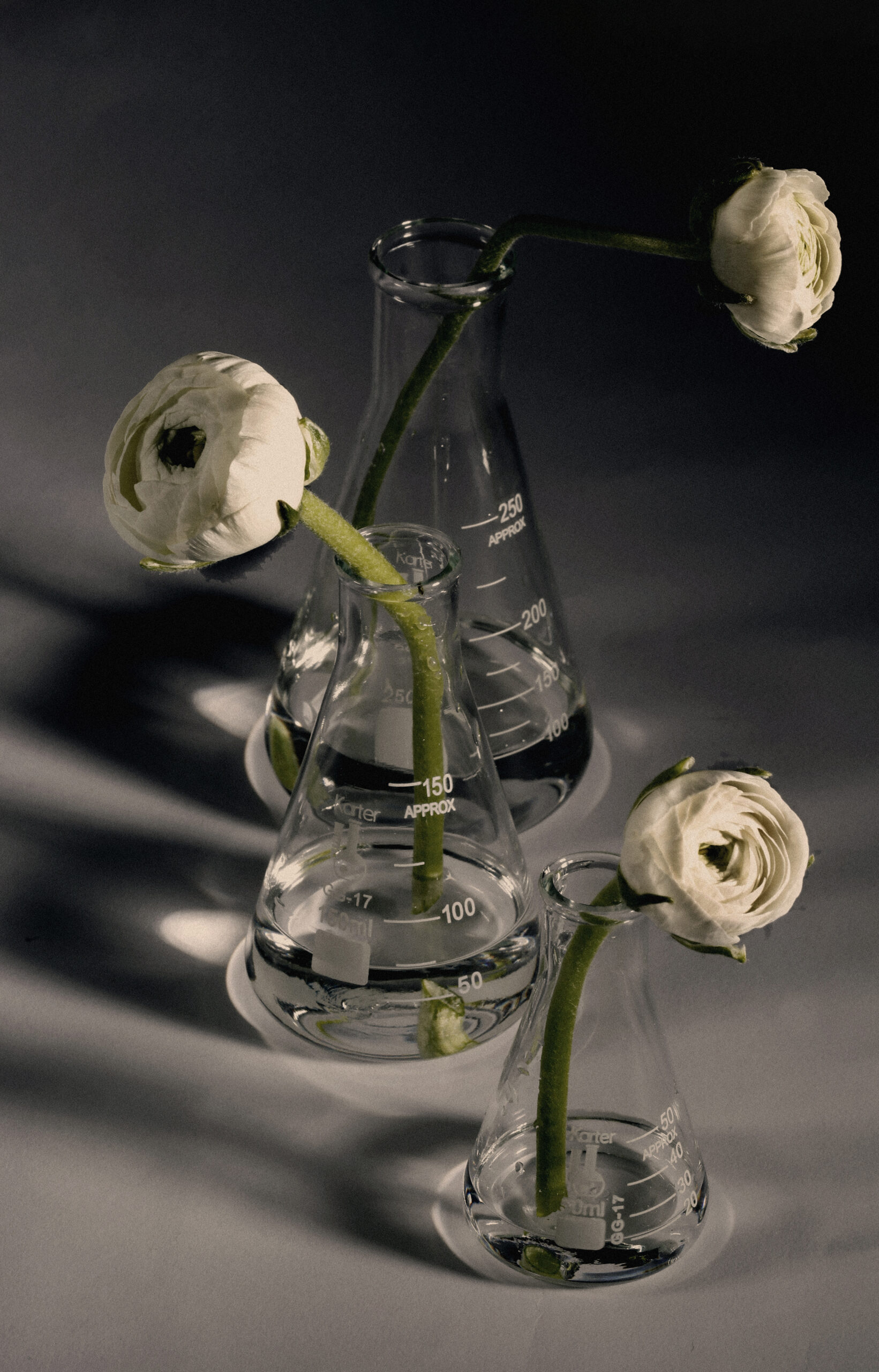 pre and post aesthetics treatment guide