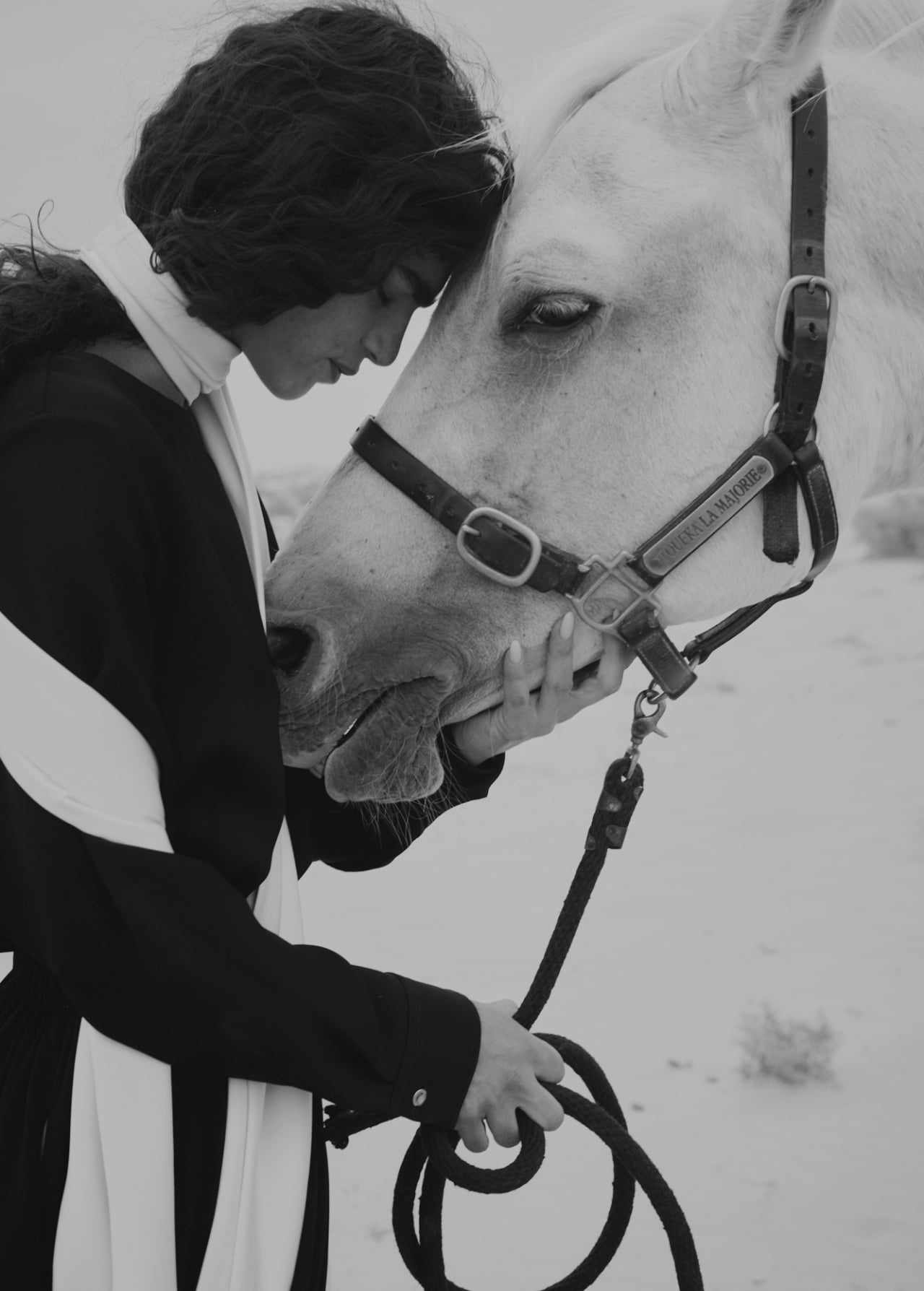 Year of the Horse 2026