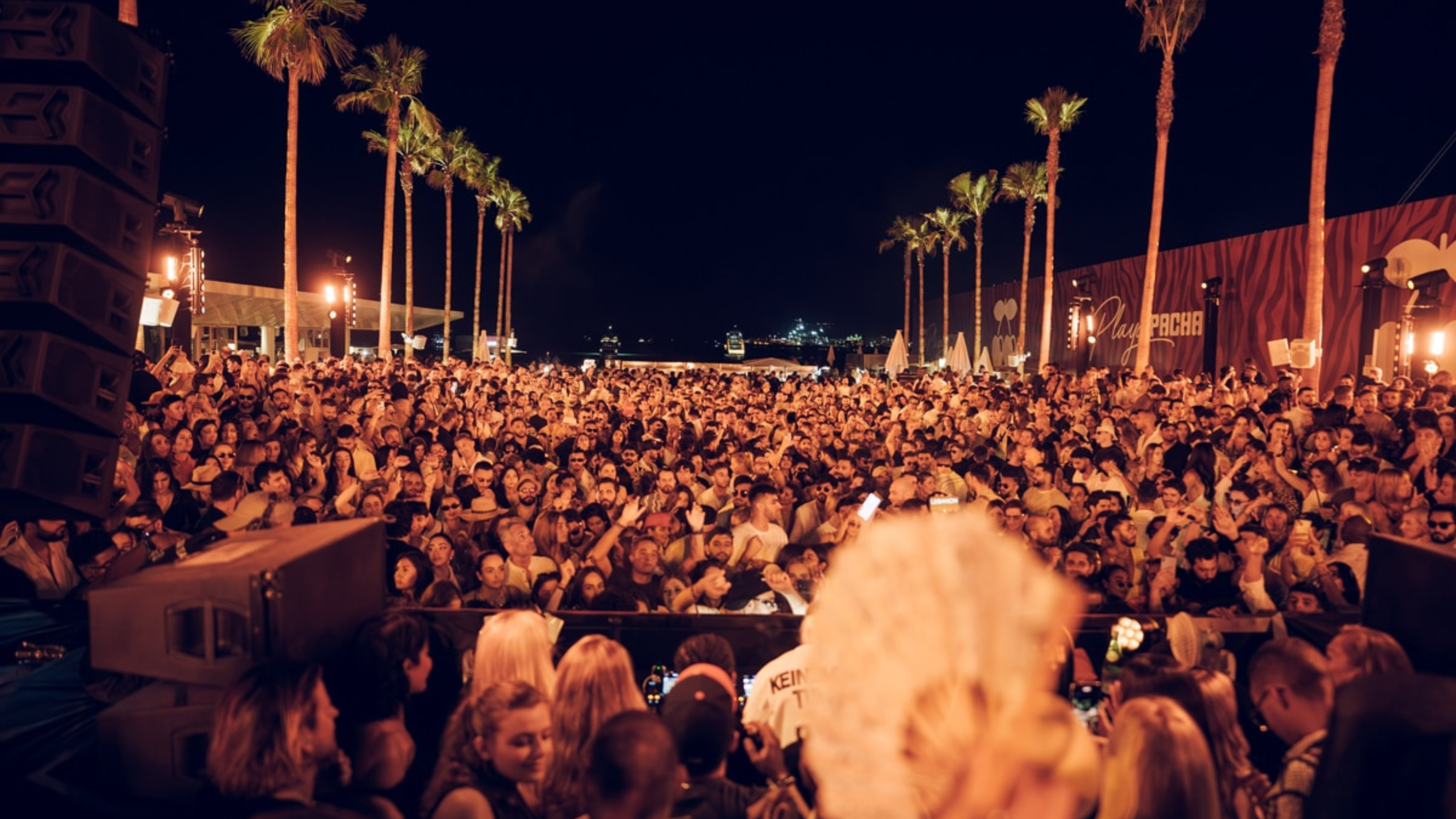 Pacha ICONS