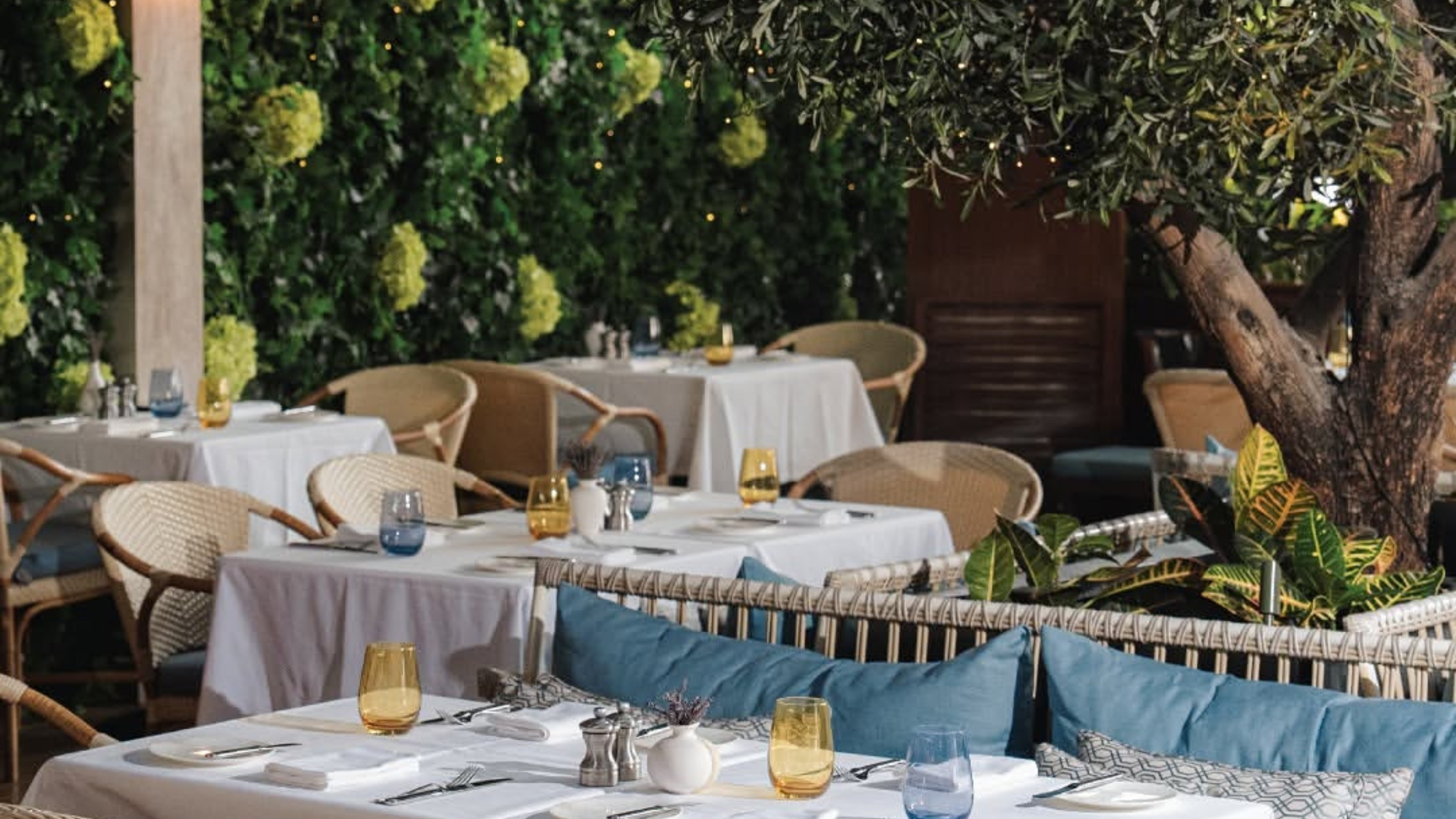 Mina Brasserie