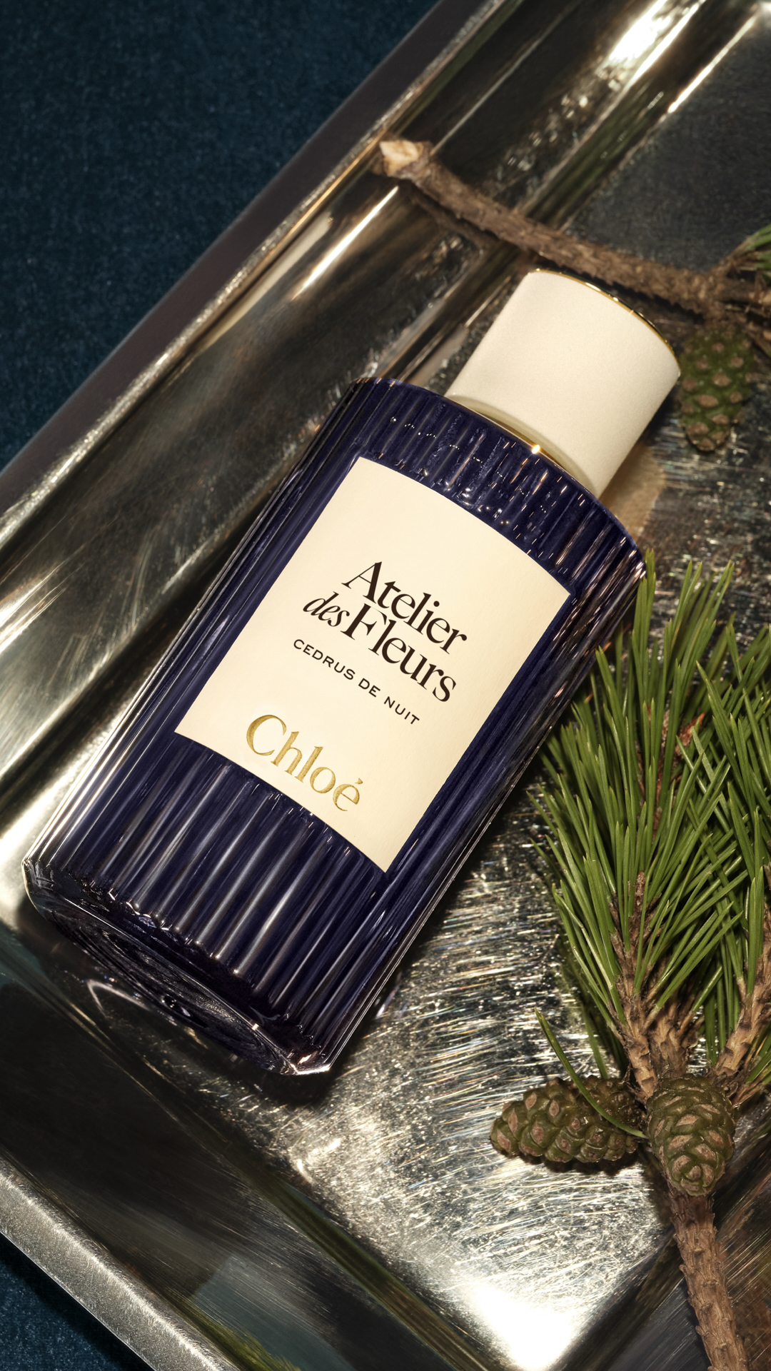 chloe cedrus de nuit