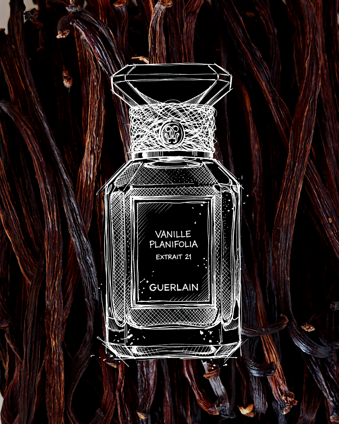scents of purpose guerlain 1