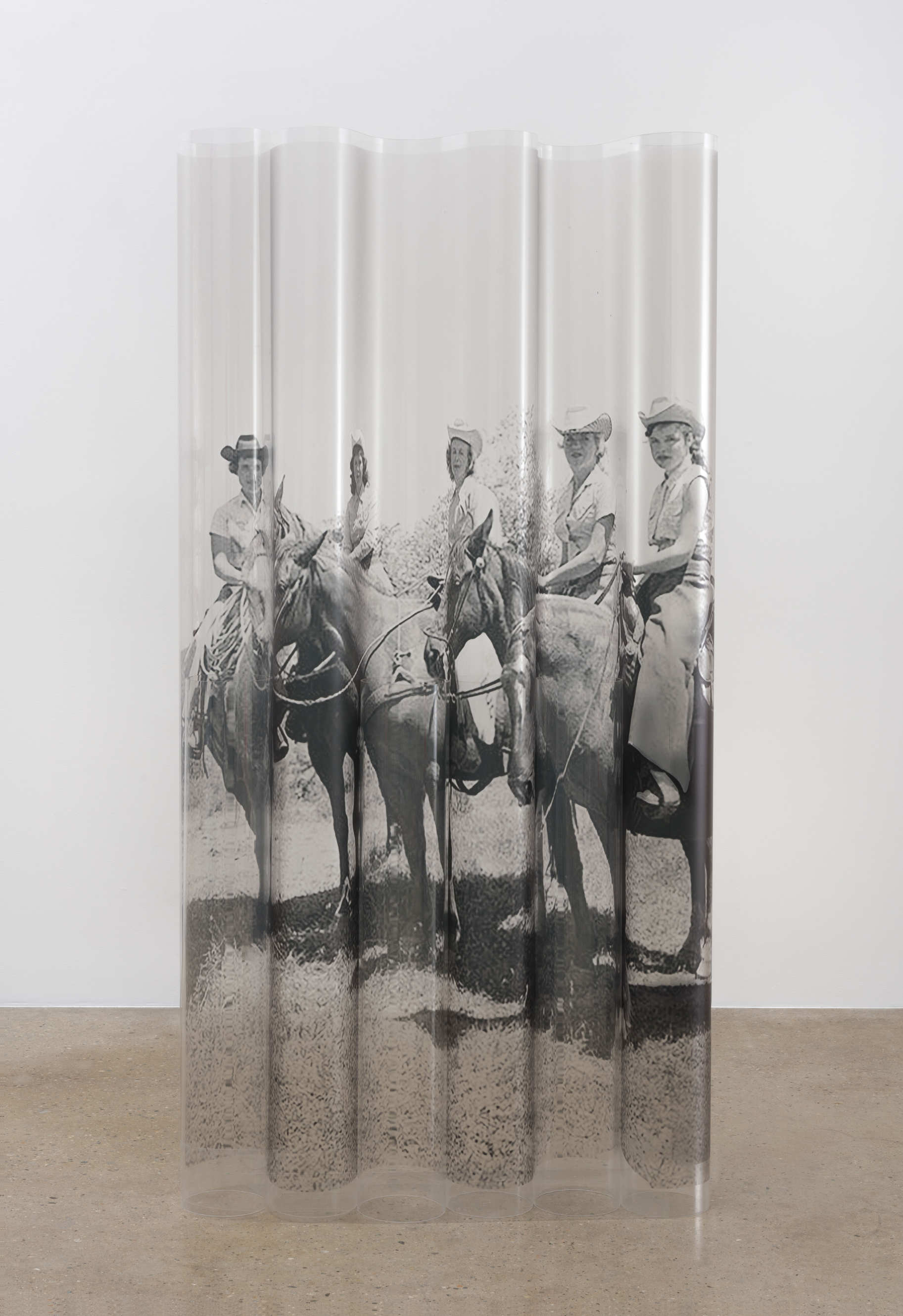Untitled (Group), 2015. Inkjet print on clear acetate, plexiglas tube. 73 1/4 x 36 x 6 inches. 