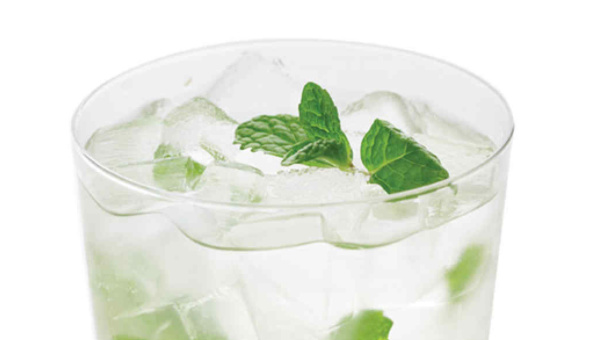 MINT-GINGER CAIPIROSKA MARTHA STEWART