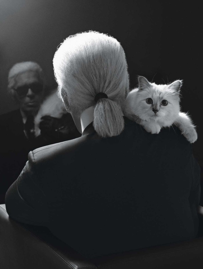 Choupette Lagerfeld: la musa de cuatro patitas