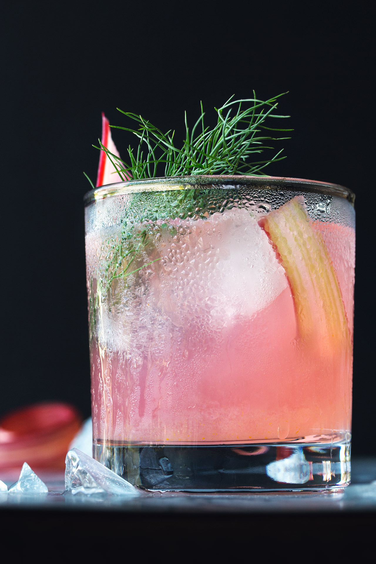 RHUBARB-FENNEL-AND-VERMOUTH-COCKTAIL-RECETA-1