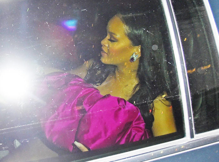 La fiesta de Rihanna para recibir sus treinta contó con Leonardo DiCaprio