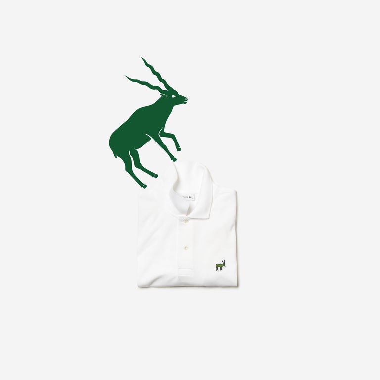 Lacoste cambia su icónico cocodrilo por animales en peligro de extinción