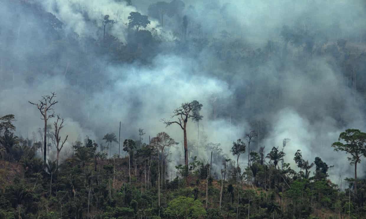 H&M toma acciones contra los incendios en la Amazonia