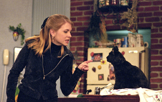 Seguramente tú también viste estas series de televisión en la infancia/adolescencia