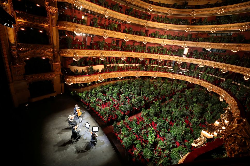 El concierto de la Ópera de Barcelona que tuvo como público puras plantas
