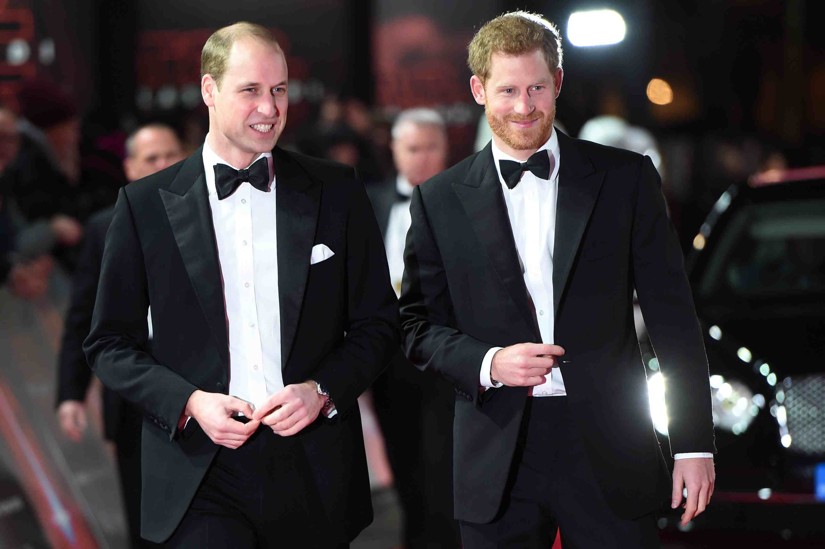 Un nuevo libro abordará lo afectada que está la relación de Prince William y Prince Harry
