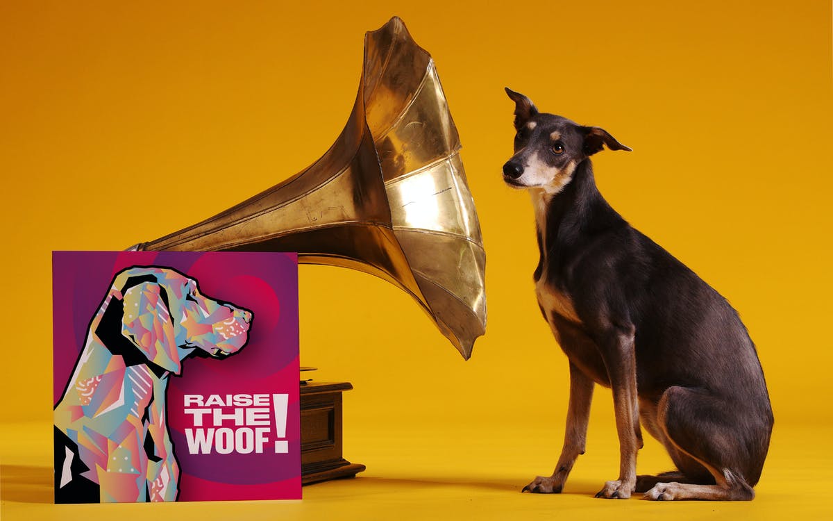 Raise the Woof! la primera canción navideña para perros
