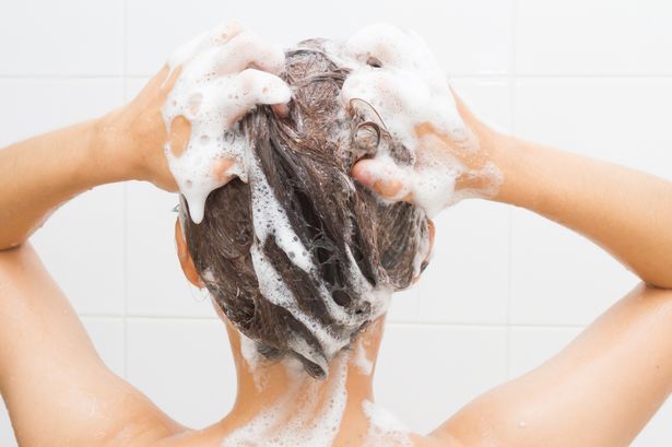 7 shampoos para cuidar tu cabello durante el verano