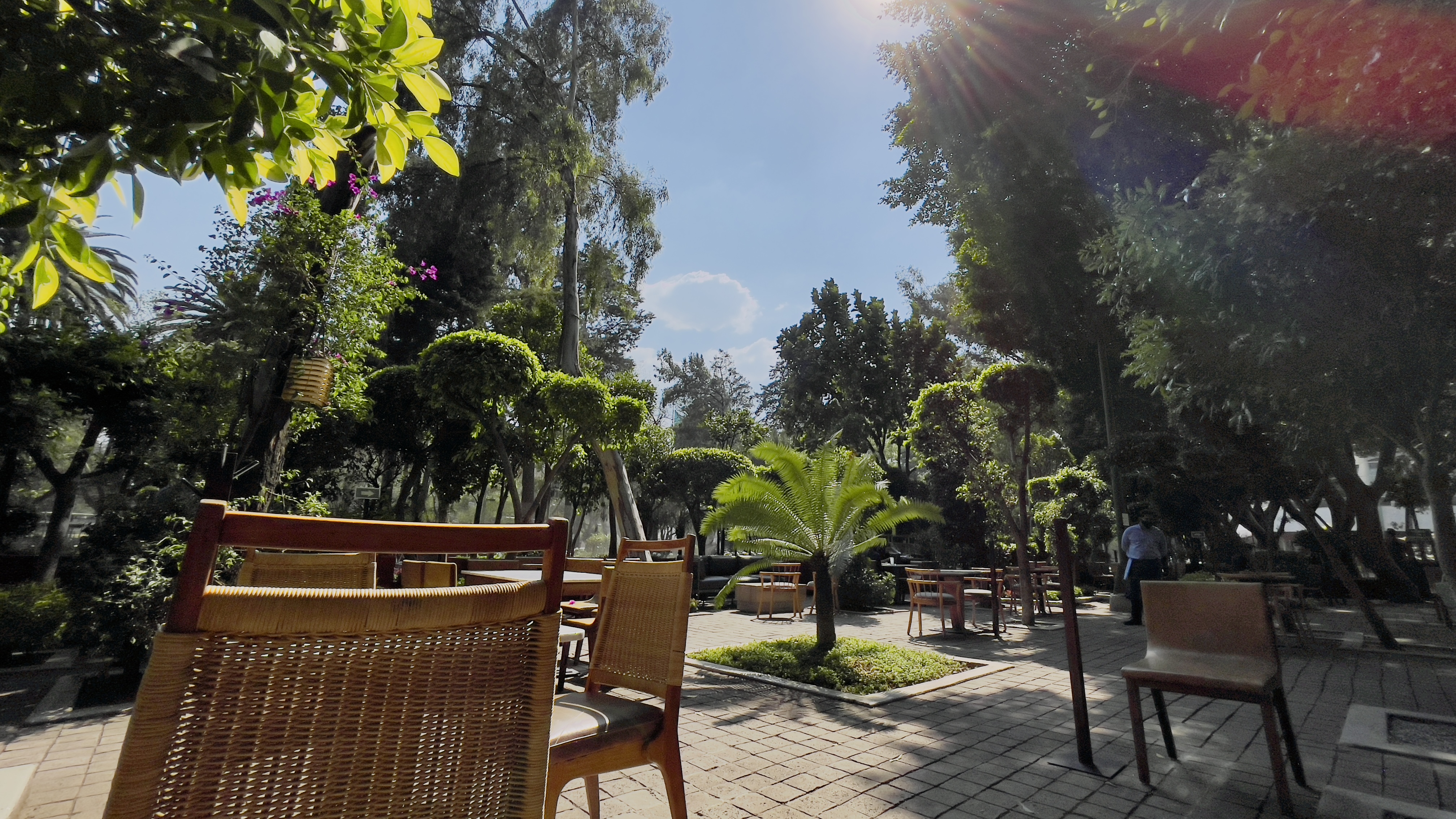 Bosque Gourmet el nuevo spot de lujo en la Ciudad de México para comer