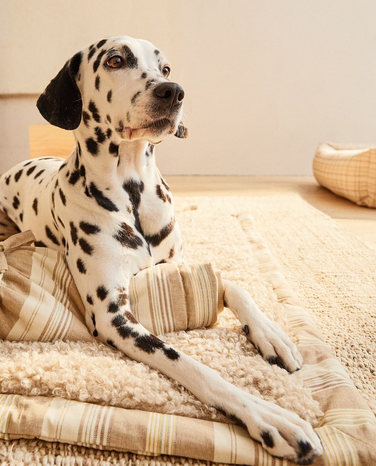 La nueva colección para mascotas de Zara Home es la ideal para mimar a nuestros compañeros