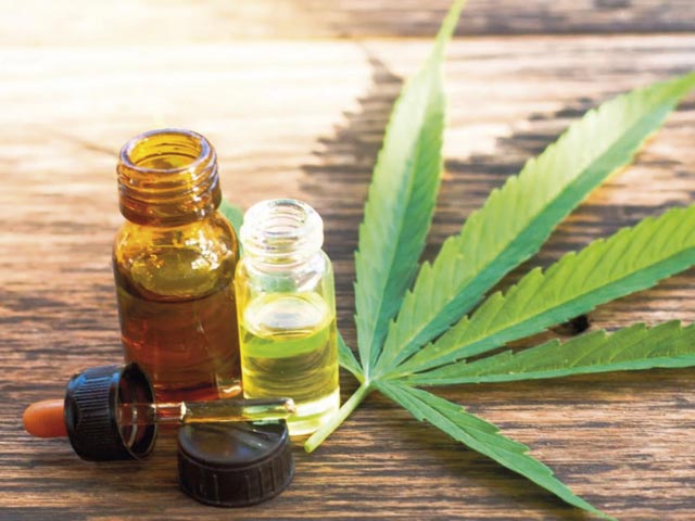 Canncura, cannabis medicinal