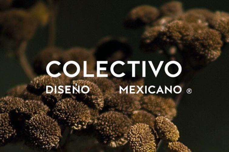 Colectivo Diseño Mexicano: Conoce la plataforma que impulsa la moda mexicana