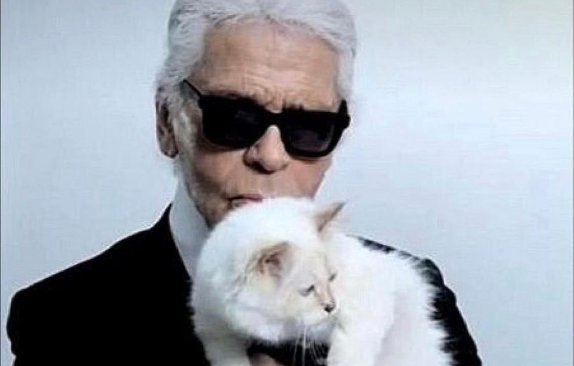 Choupette, la heredera de Karl Lagerfeld cumplió años y lo celebró con ...