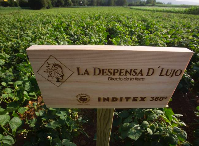 Así son los comedores sostenibles y económicos de Grupo Inditex