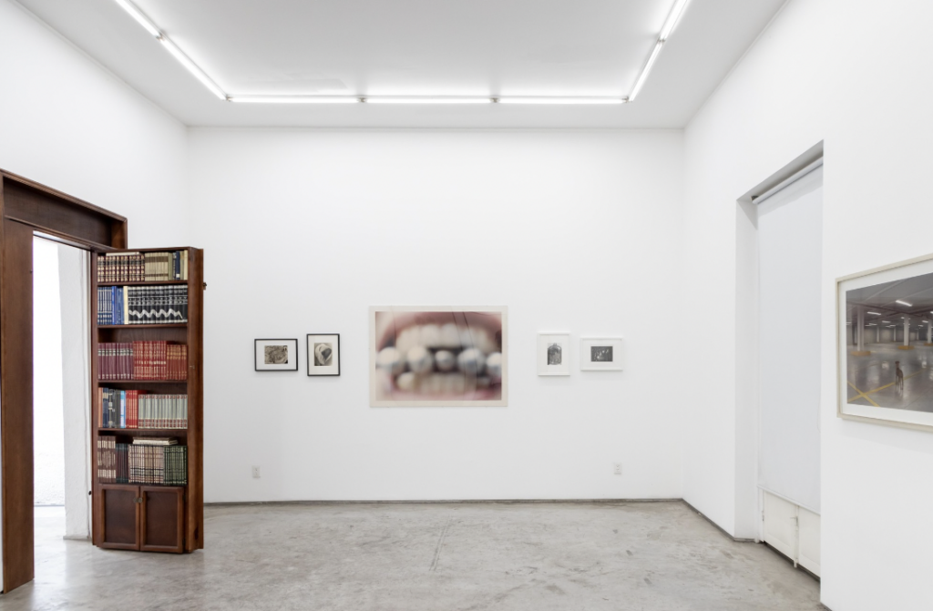 Exposiciones para ver en CDMX en Agosto: ¡Imperdibles!