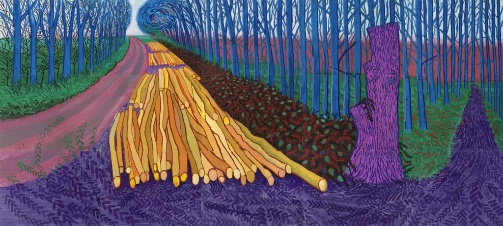 Colores que Florecen: Hockney en París