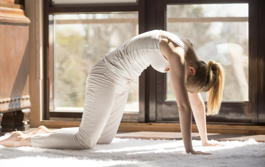 Flow de Yoga para la digestión