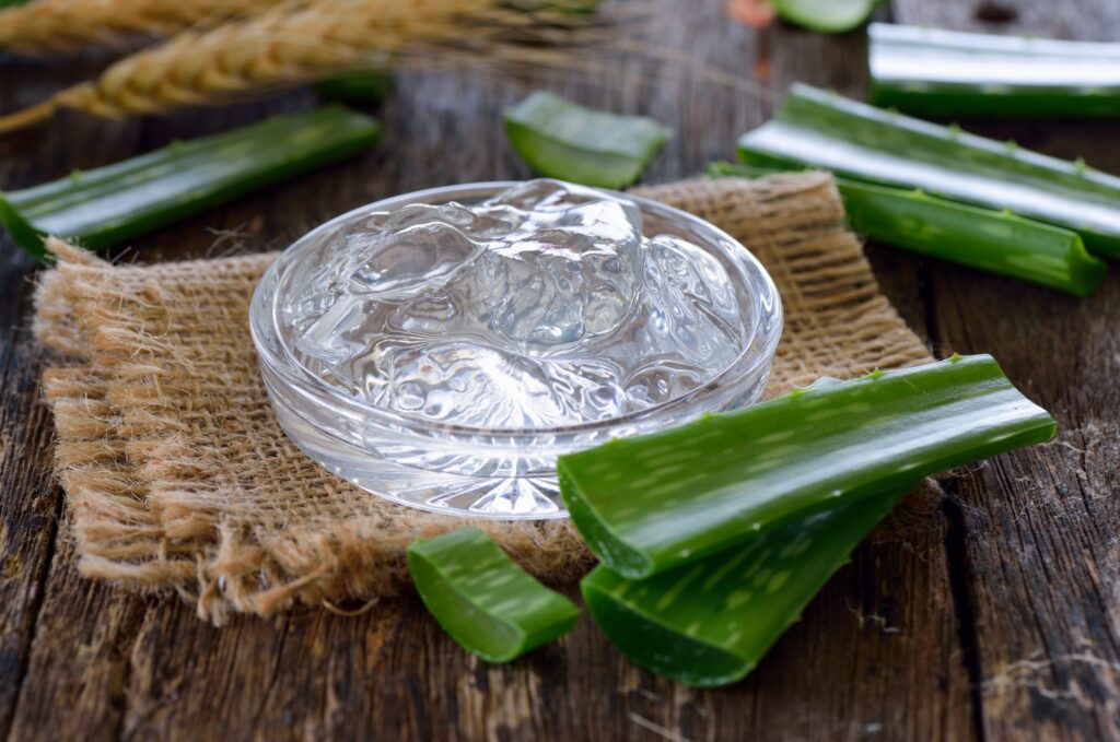 Aloe Vera: Rutina Saludable Diaria