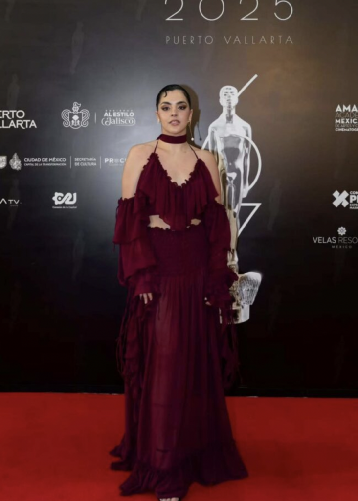 Los mejores looks en los Premios Ariel 2025