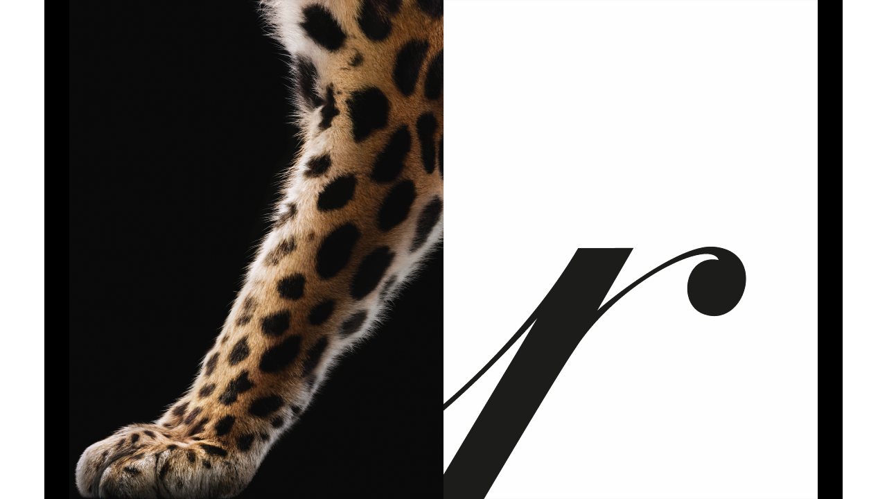 Cartier celebra una nueva campaña protagonizada por la icónica pantera