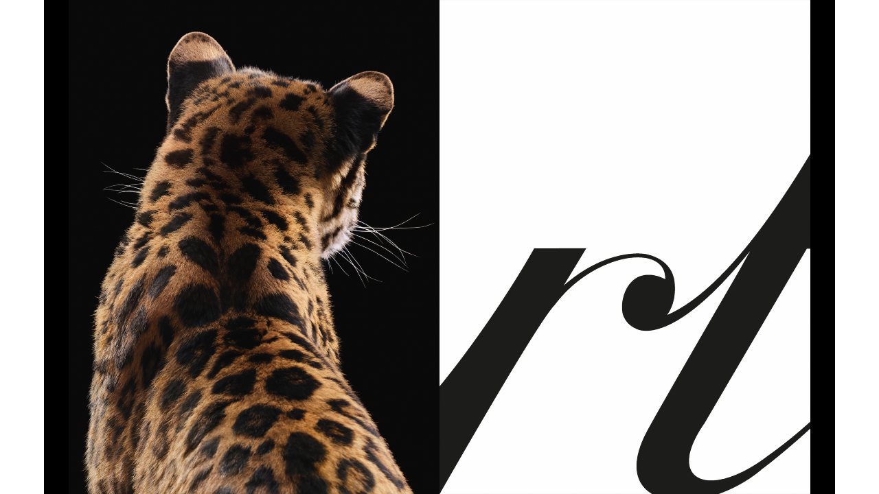 Cartier celebra una nueva campaña protagonizada por la icónica pantera